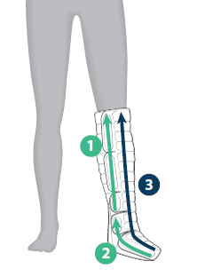 Flexitouch Plus stimulates healthy lymph nodes in the leg to allow for optimal lymph drainage