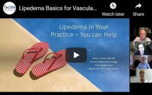 still from Lipedema Basics for Vascular Specialists with Karen Herbst, Steven Dean, Paula Donahue and Tony Gasparis