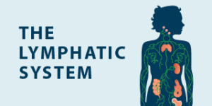 Lymphedema Resources: Information for Patients | Tactile Medical