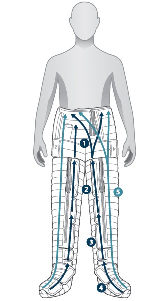 L1-CL1 Bilateral Illustration