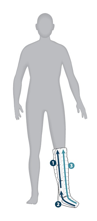 L5-CL5 Unilateral Illustration