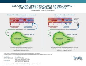 THUMBNAIL IMAGE - The Revised Starling Principle